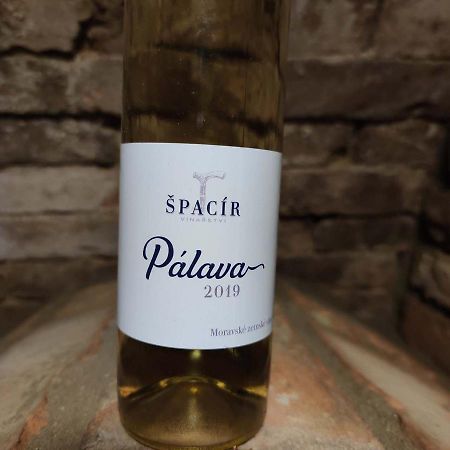 Ubytovani Na Sklepe U Spacira Velké Pavlovice エクステリア 写真